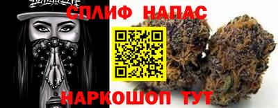 шишки Волжский