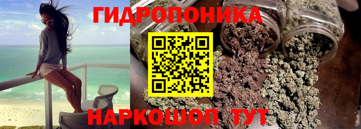 Великий Устюг  Конопля конопля  Вход с VPN  МАРИХУАНА индика  Бошки марихуана семена 